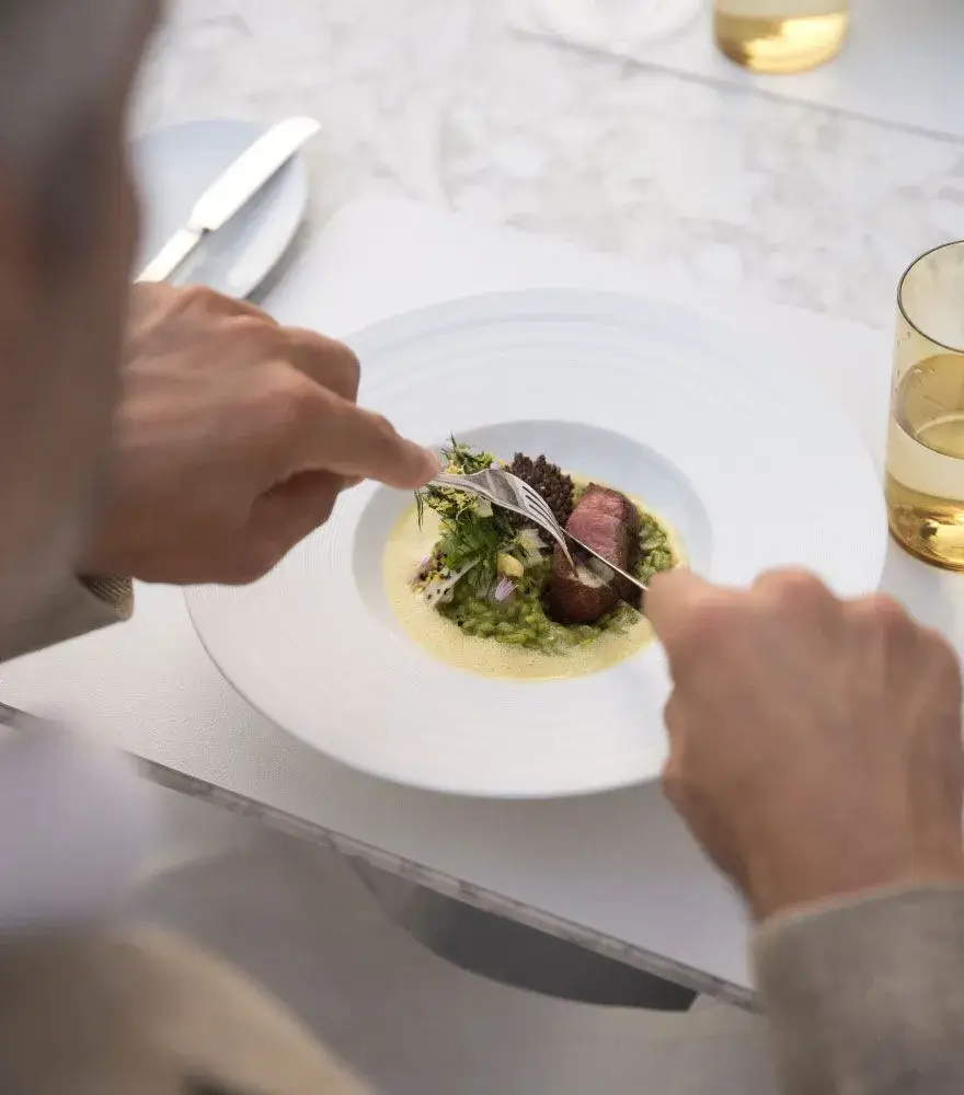 A person dining on a gourmet dish of steak and green risotto, with a glass of water on a marble table.