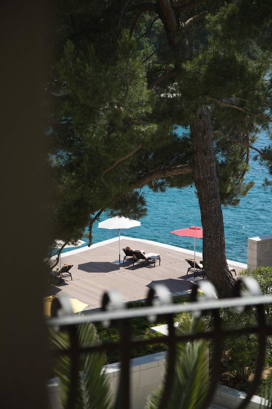 Scenic view through pines of a serene waterfront with loungers and umbrellas, inviting relaxation by the sea